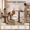 Electric Standing Desk 120x60cm Dual Motor